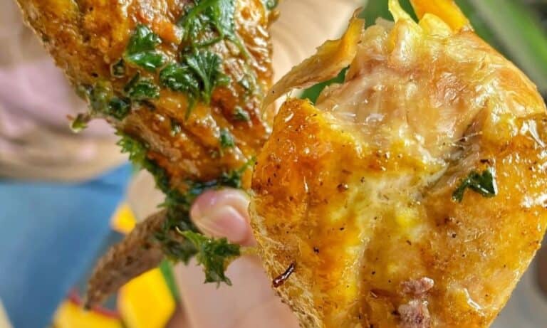 Sol Food’s Pollo al Horno