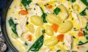 olive garden gnocchi soup recipe instant pot