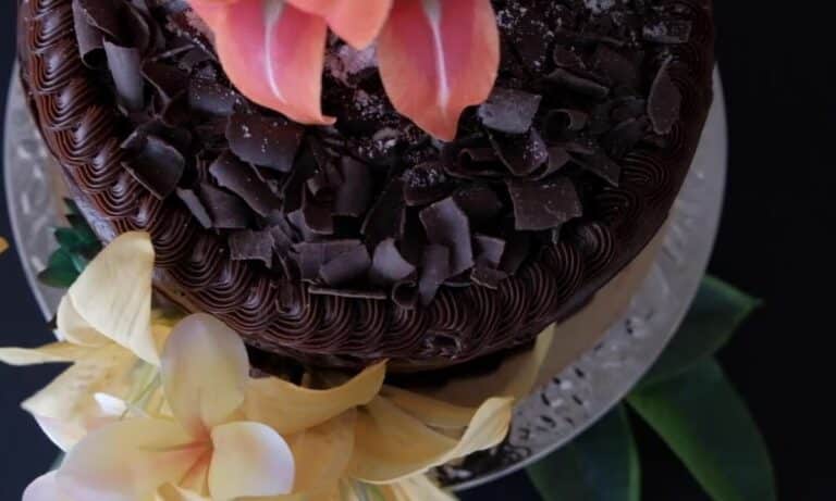 stacy’s chocolate chip cake recipe
